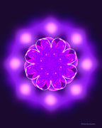 Vibrant purple flower-like design on a dark background