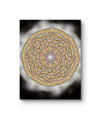 Rooted in power floral art print displayed as a mockup