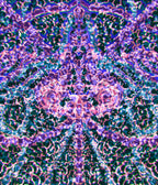 Psychedelic Symmetry