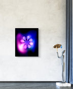 Framed abstract artwork of a flower with pink and purple hues on a white wall.