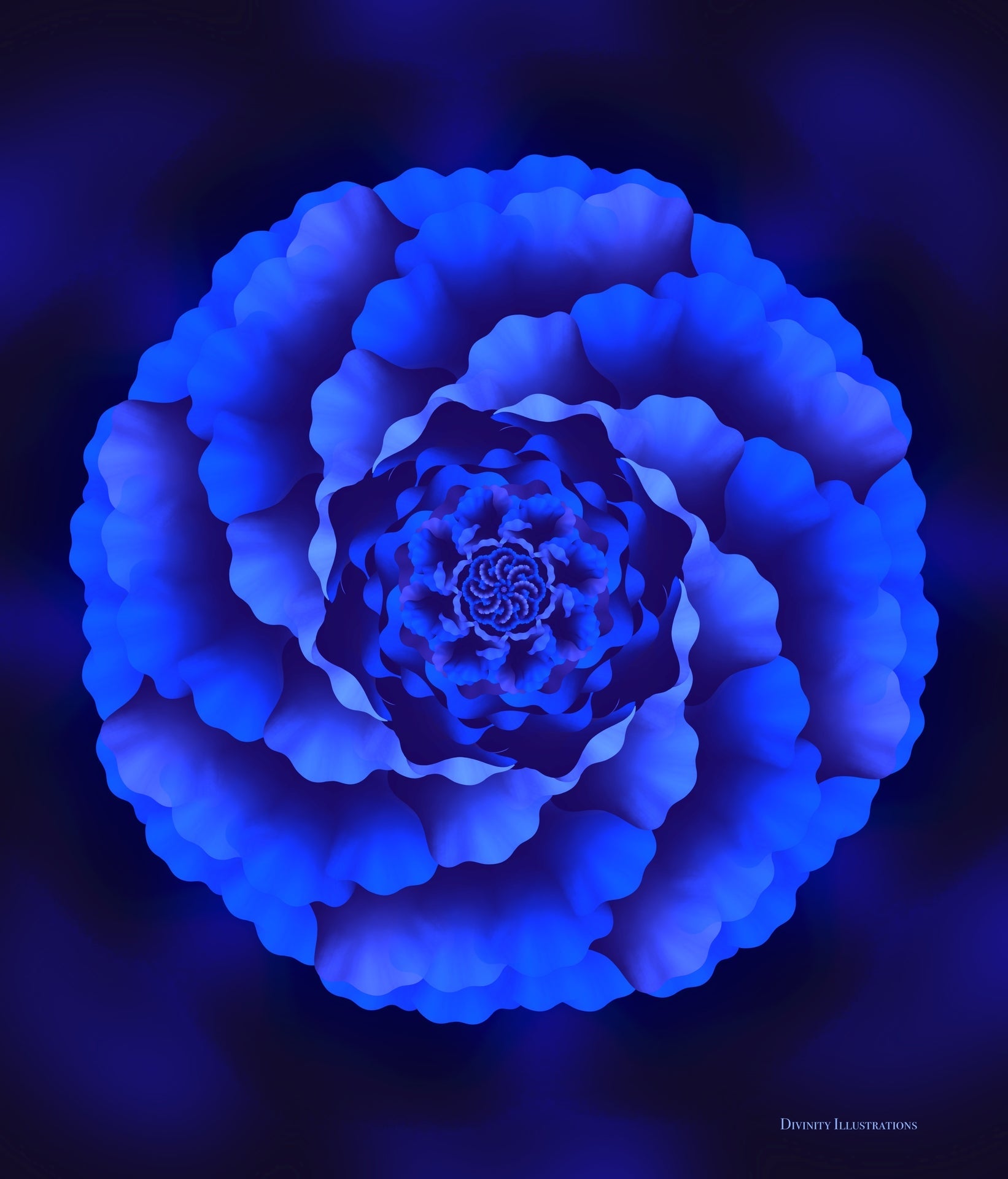 hand illustrated floral art
