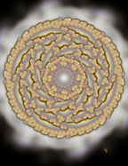 rooted in power floral art print